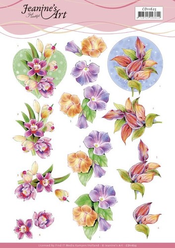 Bogen orchideen cd11625 - -,