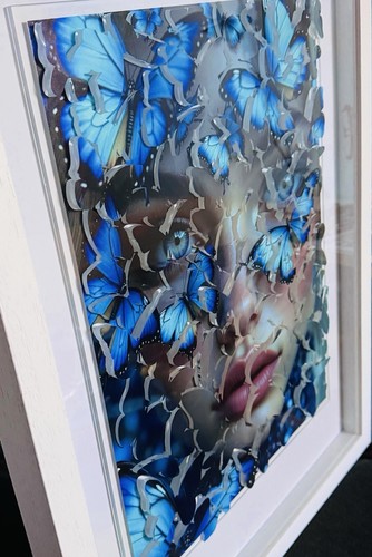 Pop art the butterfly - -,